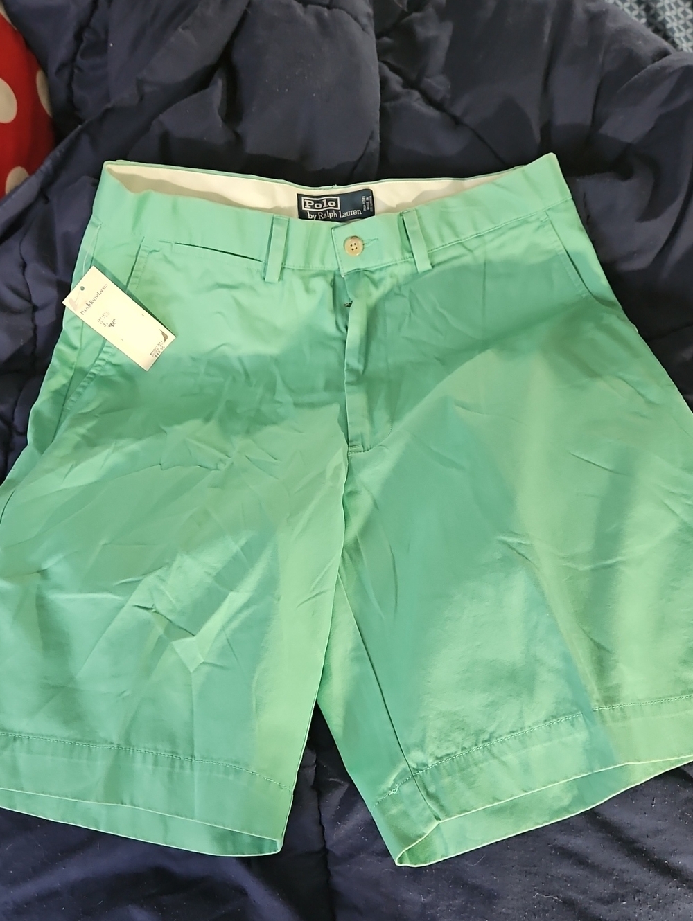 Polo by Ralph Lauren Men’s Mint Green Chino Shorts